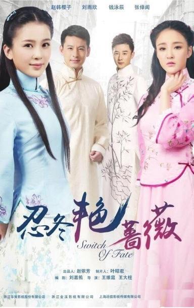 忍冬艳蔷薇电视剧全集在线观看,重温经典，感受青春热血与爱情纠葛