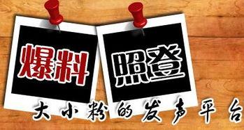 垫江新闻大爆料最新,揭秘垫江最新热点事件！